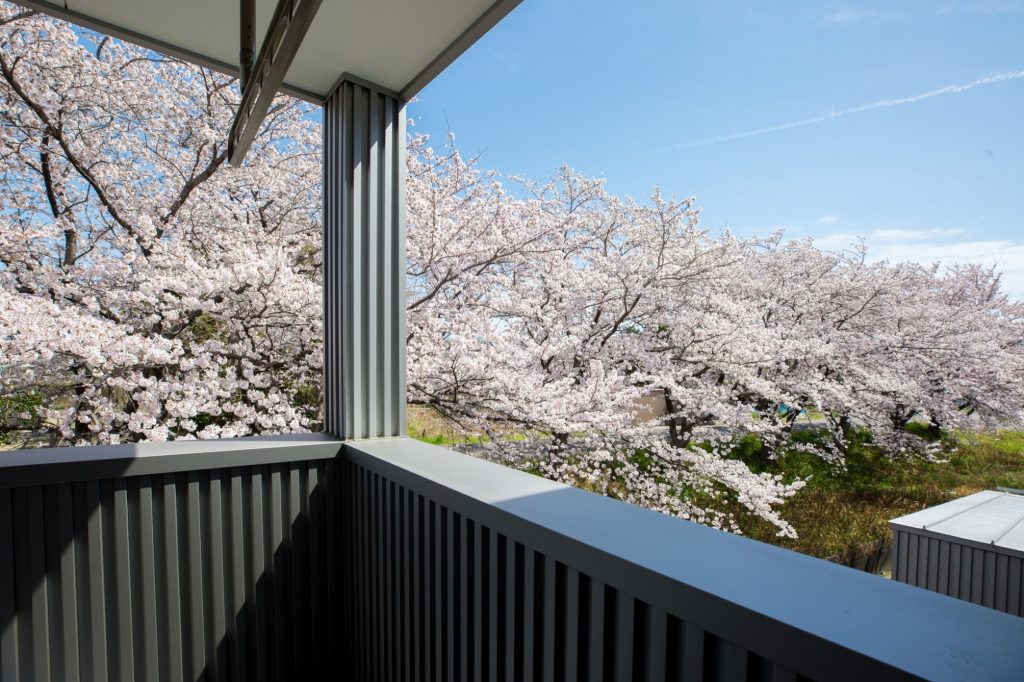 グランハウス-グランハウス一級建築士事務所-バルコニーからの景色-桜の海