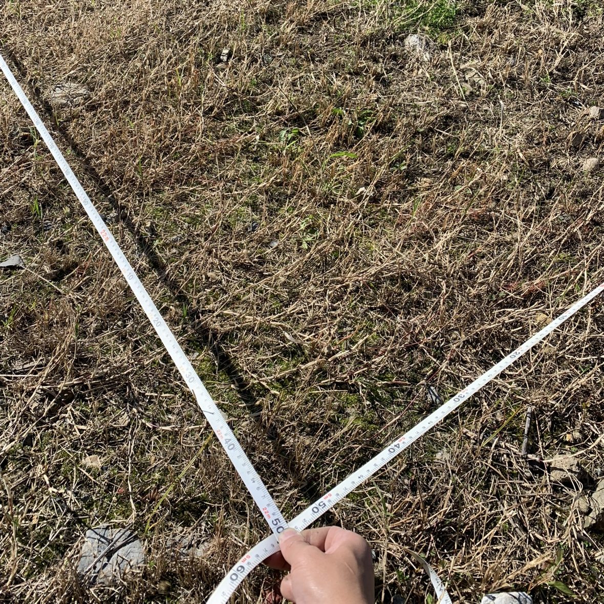 『地縄張り』について