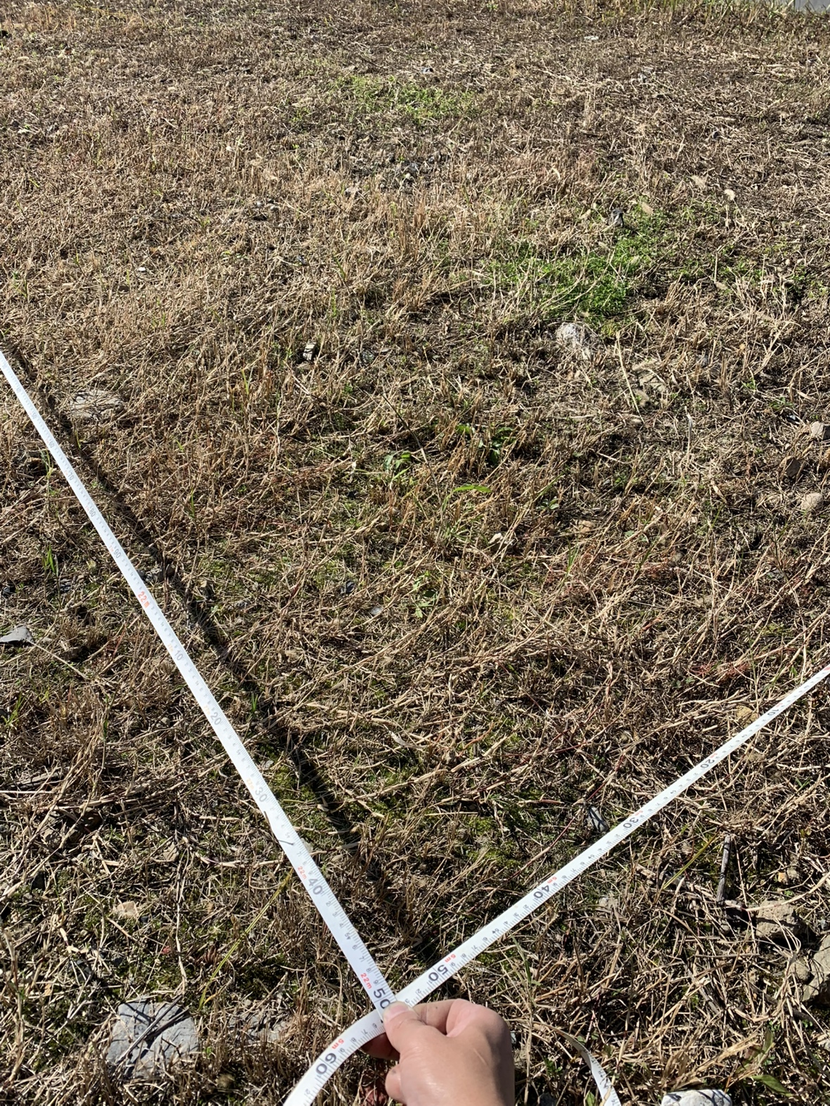 グランハウス‐グランハウス一級建築士事務所‐現場管理‐地縄‐地縄張り‐地鎮祭