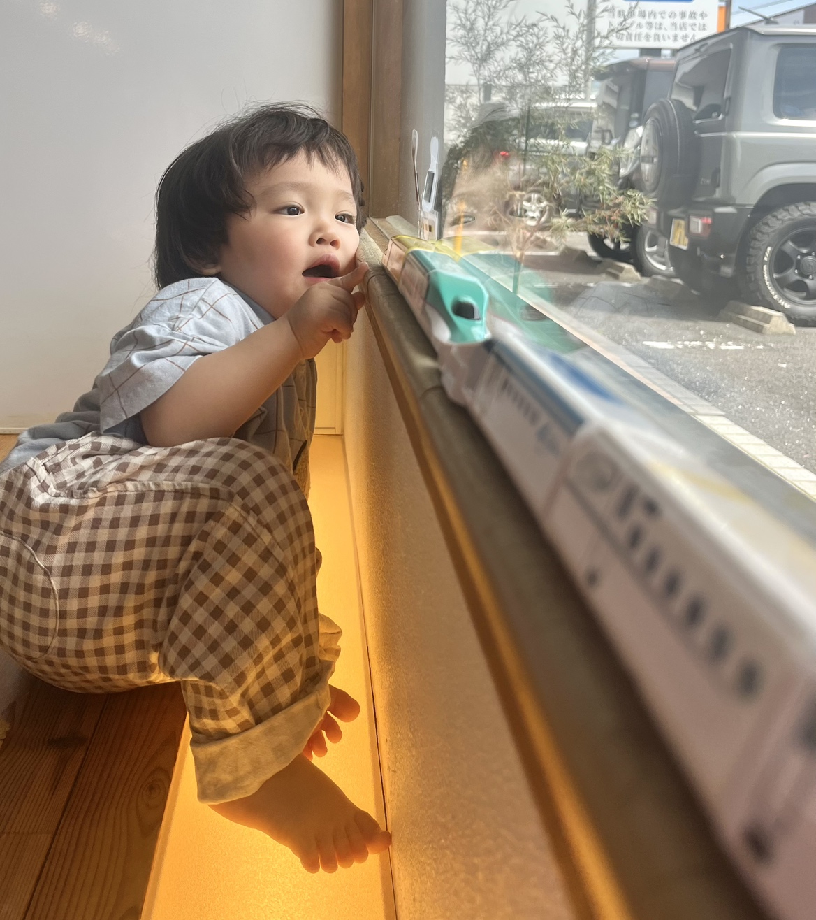 カンカン！窓辺を走る新幹線🚄